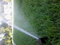 irrigation_00009